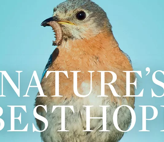 ‘Community One Read’ starts now