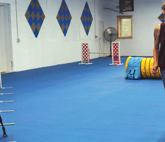 The Sun-Argus 2023 Year in Review (Part IV)