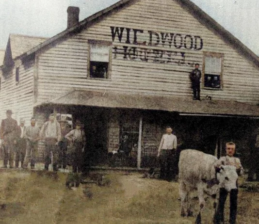 Ghost town – The Wildwood Story Downtown – Wildwood Hotel, with the spoke and broom handle factory in the rear left. Spring Valley, Yesteryear Revisited by Doug Blegen