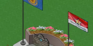 This is a concept drawing of the proposed Blue Star Marker memorial for Windmill Park. Submitted