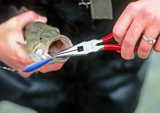 New fishing license year begins April 1, 2025