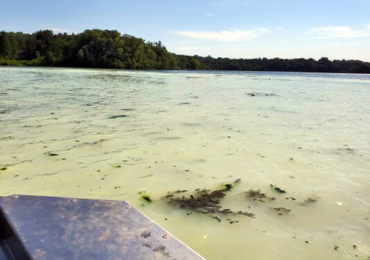 Closed Beaches, green lakes, fish kills, polluted drinking water