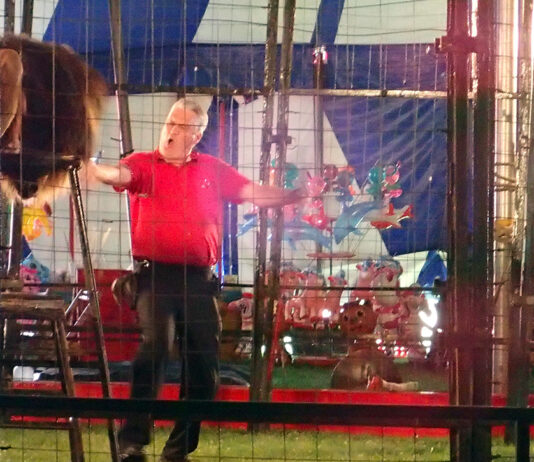 The Circus is coming to town!