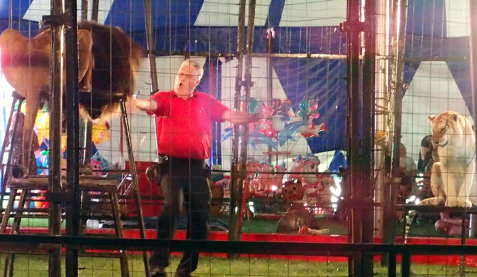 001THU-P7131553-Mr.-Trey-Key-with-Francis-the-lion-and-Delilah-the-tiger.-Photo-by-Paul-J.-Seeling(W)