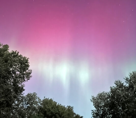 Celebrating 10 years: Chili Fest Nature Photography Contest