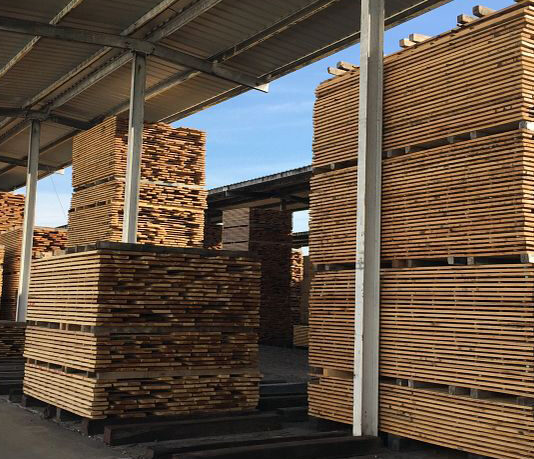 Celebrate Wisconsin’s forest products this week