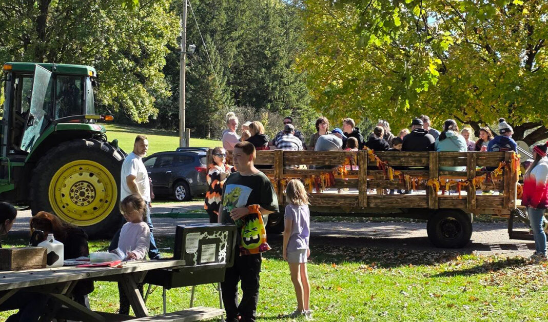 002SAT-559994189_1222131329959548_3238024950901370342_n(W)