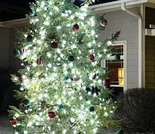 Community invited to Circle of Love Tree Lighting